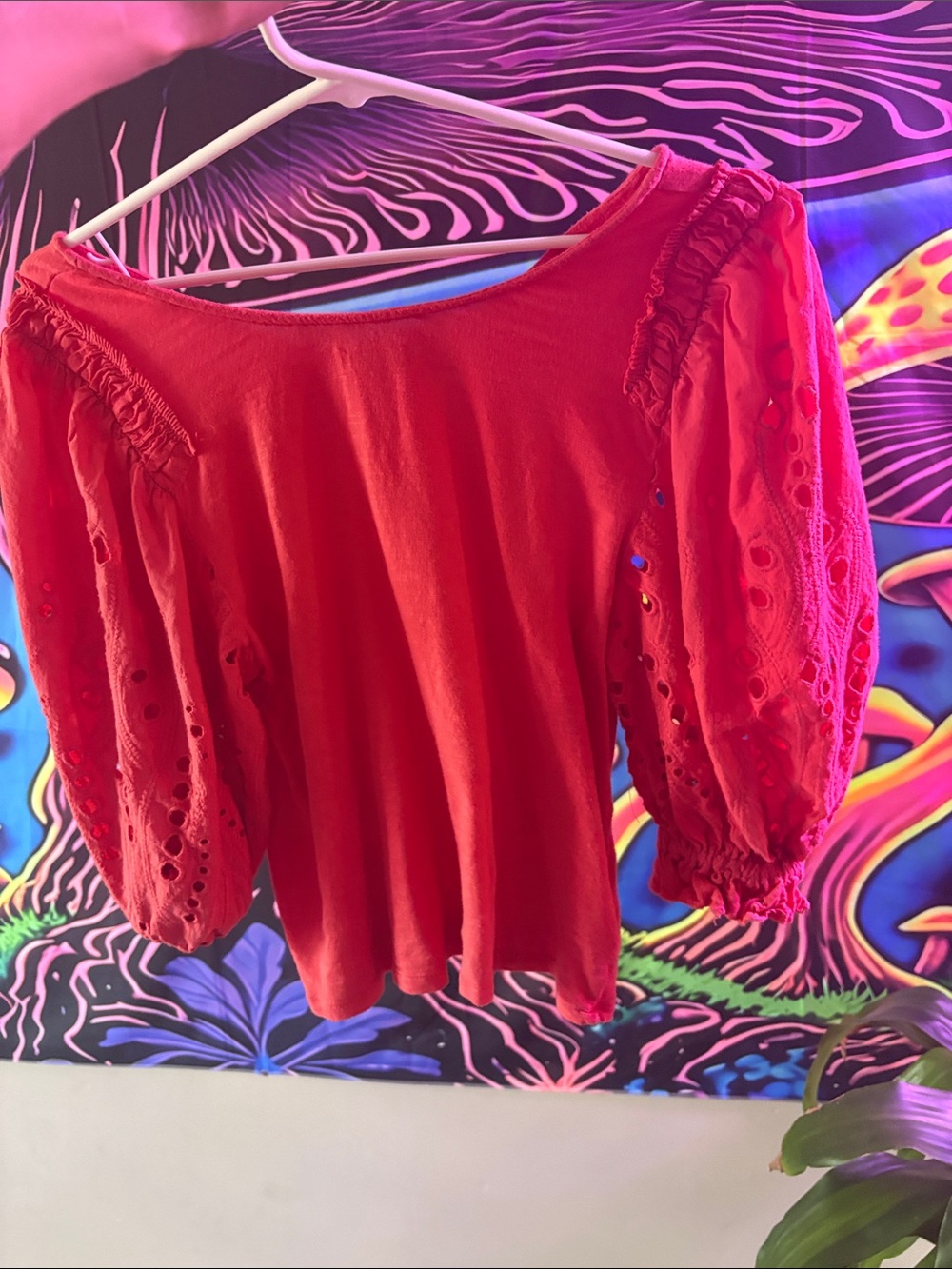 Express Red Puff Sleeve Eyelet Top
